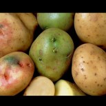 Дръжте далеч картофите до този плод! Разваля ги и стават опасни за здравето:
