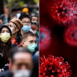 СМРАЗЯВАЩО: Статия от преди 24 години предвижда с подробности пандемията от К-19!