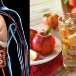 Напитка с нулеви калории-Страхотен начин за премахване на подуването, засилване на метаболизма и нормализиране на храносмилането