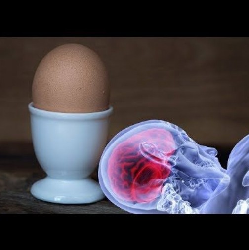 САМО 1 яйце на ден може да ви спаси от смъртоносен инсулт или инфаркт: