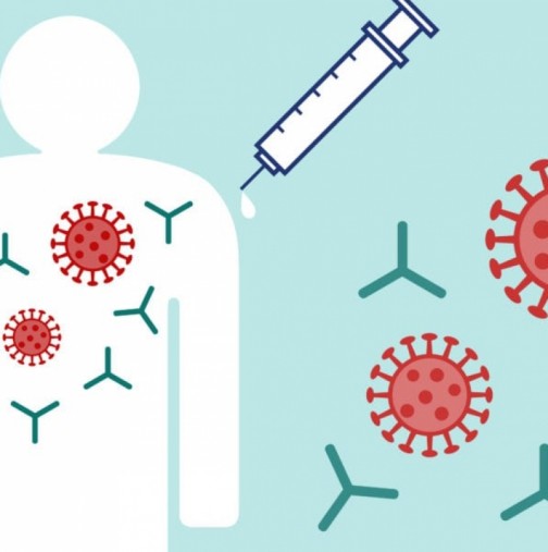 Разлики между антитела след преболедуване и след ваксинация-Тези, които са изкарали вируса, са с антитела срещу всички антигени