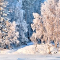 Седмичен хороскоп за периода от 10 до 16 януари-ВОДОЛЕЙ Много напрежение и шанс за успех, КОЗИРОГ Към пълно възстановяване