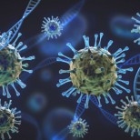 Откриха молекула в човешкото тяло, която блокира коронавируса