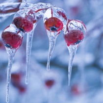 Хороскоп за утре 31 януари-РИБИ Финансова сполука, ВОДОЛЕЙ Енергийно заредени