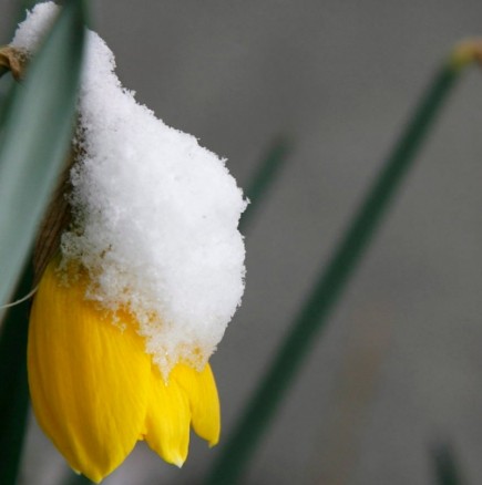 Синоптиците дадоха актуалната прогноза за времето през март