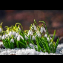 Хороскоп за днес, 21 февруари: ВОДОЛЕЙ - днес ще получите прозрения; РИБИ - денят би могъл да е много успешен