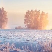 Хороскоп за утре 17 февруари-РИБИ Успешен ден, ВОДОЛЕЙ Напрежение и разочарования