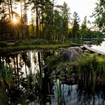 Хороскоп за 17 март 2022 г-Риби ♓ Изобилие от възможности, Водолей ♒ Уникална креативност