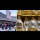 Хората, купили от евтиното олио, заради което се стигна до бой, онемяха, като видяха опаковката (Снимки):