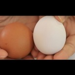 Как сами да си избелите яйцата за Великден, вместо да давате двойно повече за бели яйца в магазина: