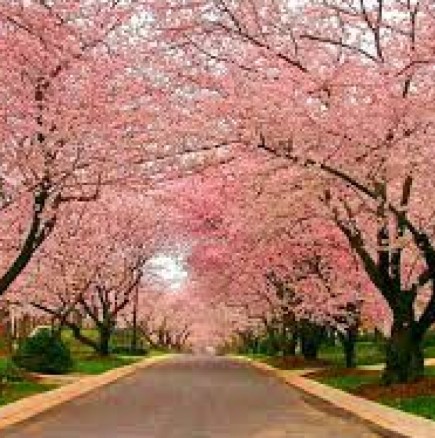 Хороскоп за утре 9 април-КОЗИРОГ Твърде положителен ден, СТРЕЛЕЦ Сполука, но се пазете от кавги