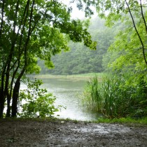 Хороскоп за утре 13 май-РИБИ Чудесни възможности, ВОДОЛЕЙ Благодатен ден