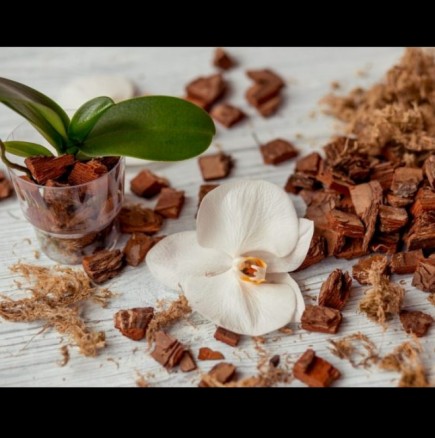 Ето как да си приготвим качествен ДОМАШЕН субстрат за орхидеи: