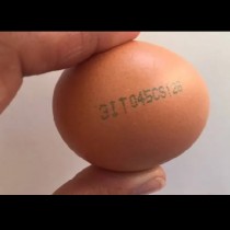 Важно: Ето какво означава цифровият код върху купешките яйца