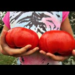Баба повече от 30 години подхранва доматите през юли така. Приех съвета й и не съжалявам!