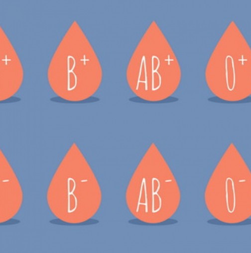 Как Rh факторът и кръвната група влияят на нашия характер и биополе