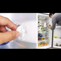 Каква трябва да е температурата на хладилника и струва ли си да я сменяте през лятото?
