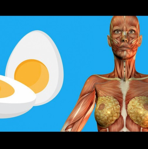 9 неща, които ще се случат с тялото ви, ако изядете 2 яйца на закуска