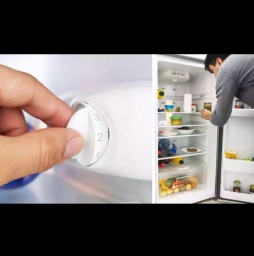 Каква трябва да е температурата на хладилника и струва ли си да я сменяте през лятото?