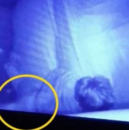 Майка видя на камерата как бяла ръка докасва спящото й бебе и изтръпна от ужас