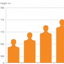 Колко сме високи и как това се отразява на живота ни?