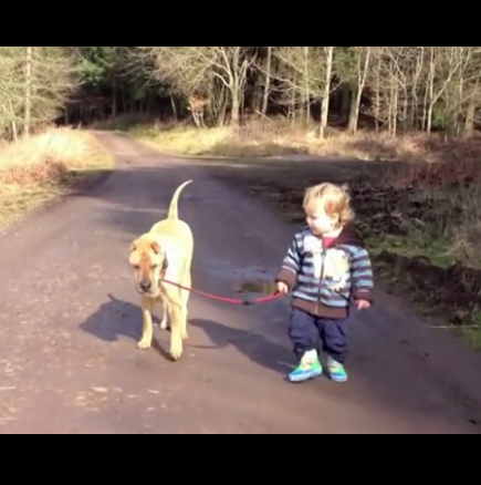 Най-добри приятели: Защо всяко дете трябва да расте с куче? (Видео)