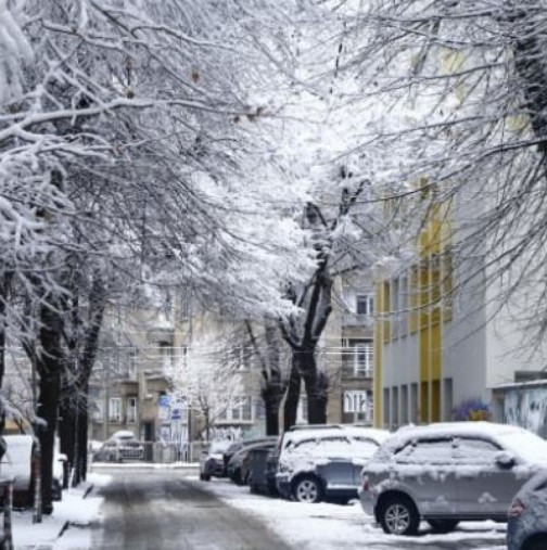 Сняг се задава в тези дни на ноември-Видео