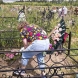 Задушница наближава и на починалия близък няма да му хареса, ако донесете тези цветя на гроба му