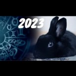 Как да помолите Черния воден заек да изпълни желанията ви през 2023: съвет на астролога