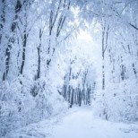 Много сняг падна на километри от София-Снимка 