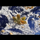 Синоптиците от Meteobalkans: Първият сняг в София пада до дни! 