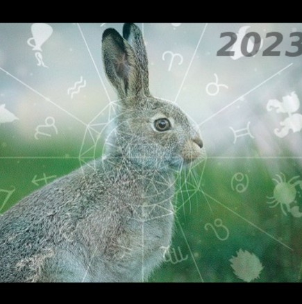 2023 година на черния воден заек: хороскоп за всички зодии