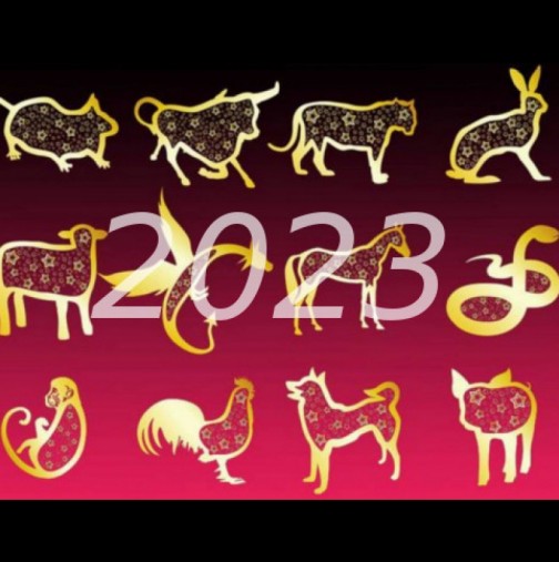 Китайски хороскоп по година на раждане за 2023 г-Всеки, роден в годината на Петела, ще успее да излезе победител