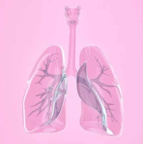 5 ДОКАЗАНИ начина да възстановите белите си дробове след пневмония!