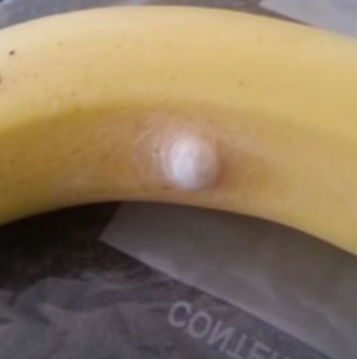 Ако видите нещо подобно на банана, не го докосвайте! Кажете на персонала на магазина и си тръгвайте!