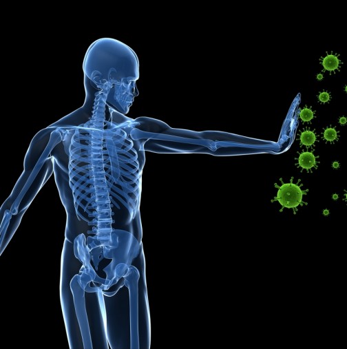 Четири ДОКАЗАНИ начина за укрепване на имунната система!