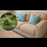 Домашно чудо за почистване на дивани и килими - край с кашлицата и сърбежа от алергии!