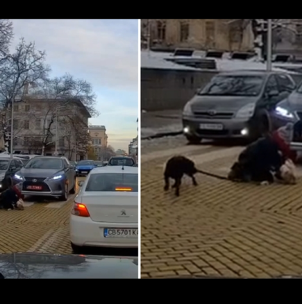 Заснеха на видео как автомобил блъска жена с бебе на ръце и куче на пешеходна пътека