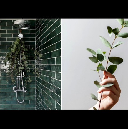 Растението, което ТРЯБВА да поставите в банята: Горещата вода отключва МОЩНИТЕ му лечебни свойства! 