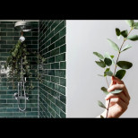 Растението, което ТРЯБВА да поставите в банята: Горещата вода отключва МОЩНИТЕ му лечебни свойства! 