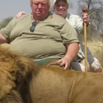 Той убиваше лъвове само за да се снима с тях за социалните мрежи. Е, братът на последния го спипа-Видео