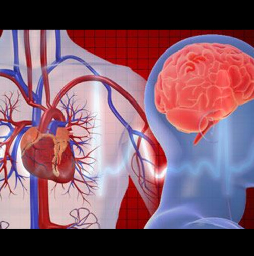 Кардиолози са убедени: Редовния прием на този лек срещу инфаркт и инсулт предотвратява 12 000 смъртни случая 