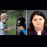 Семейство повери детето си на детегледачка, благодарение на кучето им се разкриха ужасни сцени (СНИМКИ)
