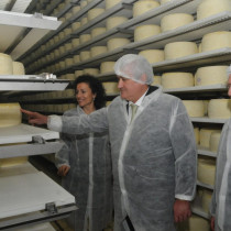 Собственик на мандра с жестоко признание за преработването на мляко в България 