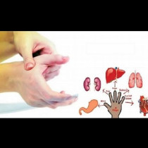 Всеки пръст е свързан с два органа в тялото: Японски метод, който ще ви излекува за минути