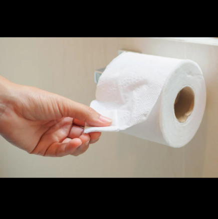 Учените ни забраниха тоалетната хартия! Ето колко е опасна всъщност: