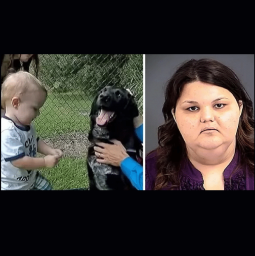 Семейство повери детето си на детегледачка, благодарение на кучето им се разкриха ужасни сцени (СНИМКИ)