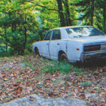 Бездомник минаваше през гората, когато попадна на стара кола и забеляза вътре нещо странно!