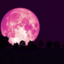Мощна Розова Луна изгрява на 6 април! Ето как ще се отрази на всеки зодиакален знак!