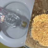 Трикът на камериерките: Ето как обикновена пластмасова бутилка чисти до блясък тоалетната
